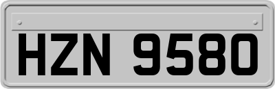 HZN9580