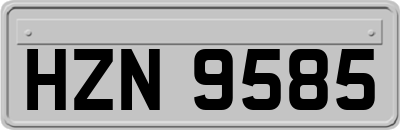 HZN9585