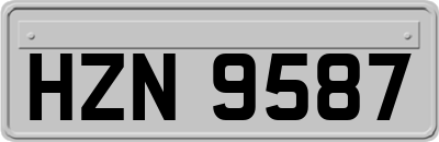 HZN9587