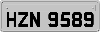 HZN9589