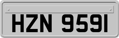 HZN9591
