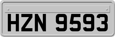 HZN9593