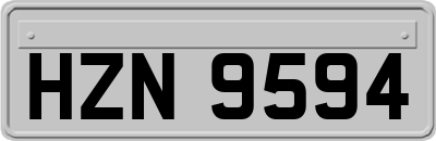 HZN9594