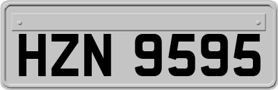 HZN9595