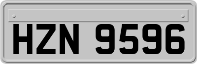 HZN9596
