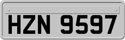 HZN9597