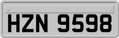 HZN9598