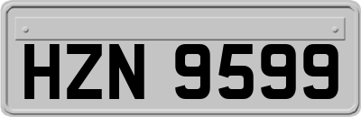 HZN9599