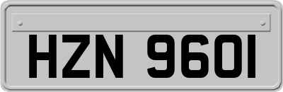 HZN9601