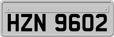 HZN9602