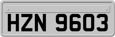 HZN9603