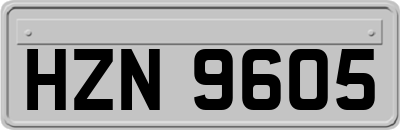 HZN9605