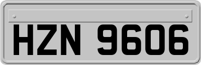 HZN9606