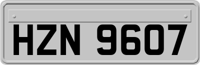 HZN9607