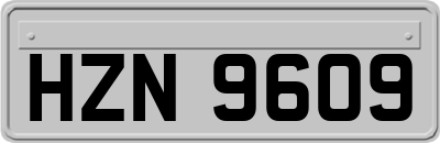 HZN9609