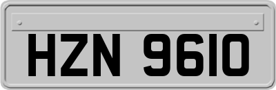 HZN9610