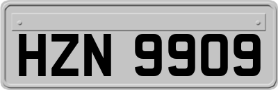HZN9909