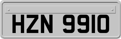 HZN9910