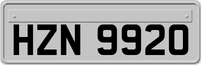 HZN9920