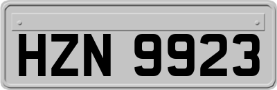 HZN9923