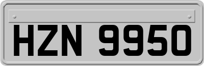 HZN9950