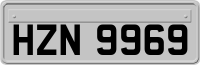 HZN9969