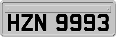 HZN9993
