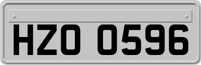HZO0596