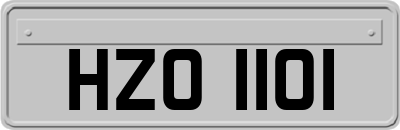 HZO1101
