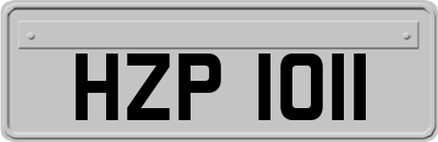 HZP1011