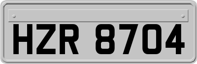 HZR8704