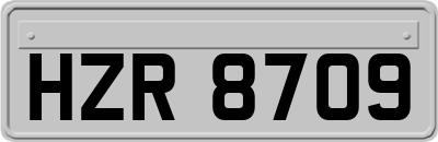HZR8709