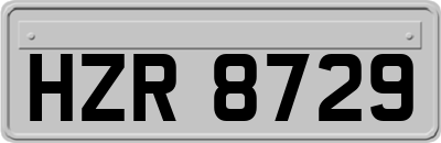 HZR8729