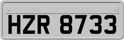 HZR8733