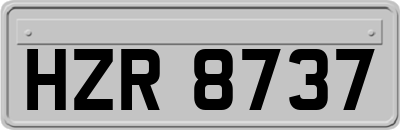 HZR8737