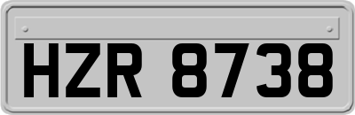 HZR8738