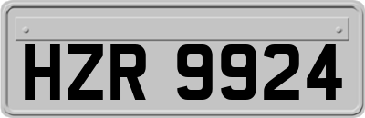 HZR9924