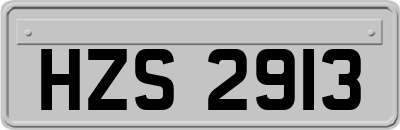 HZS2913