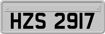 HZS2917