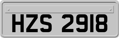 HZS2918