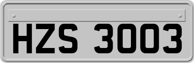 HZS3003