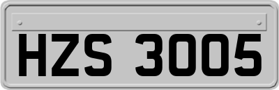 HZS3005