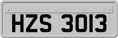 HZS3013