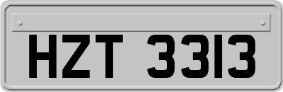 HZT3313