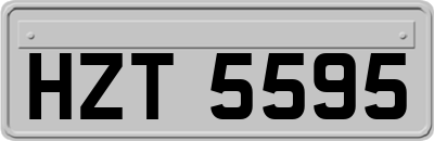 HZT5595