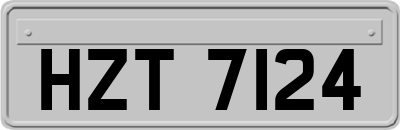 HZT7124