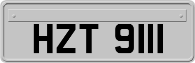 HZT9111
