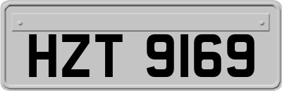 HZT9169