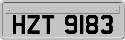 HZT9183