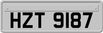 HZT9187